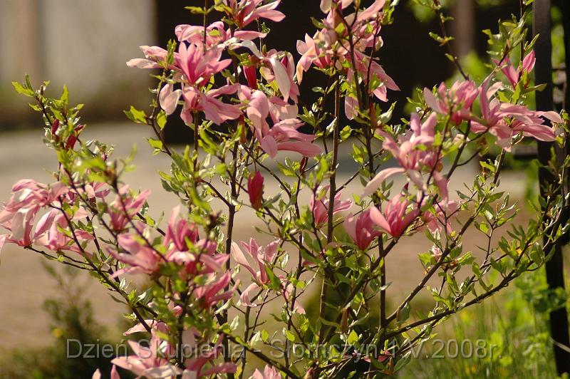 DSC_1255 [1600x1200].JPG